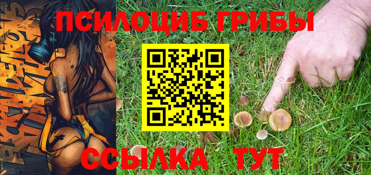 Псилоцибиновые грибы Cubensis Донской