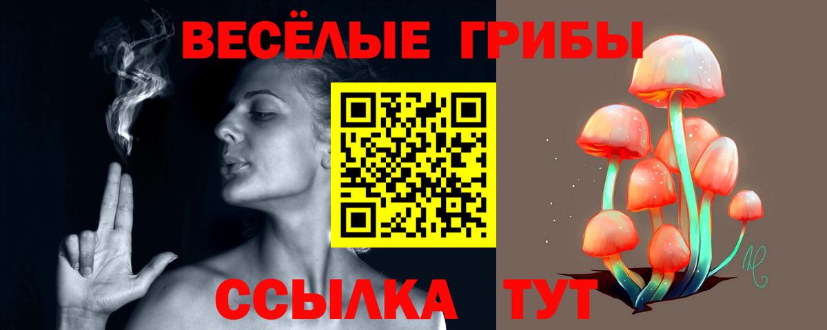 Донской  Галлюциногенные грибы прущие грибы  Вход с VPN  Псилоцибиновые грибы ЛСД 